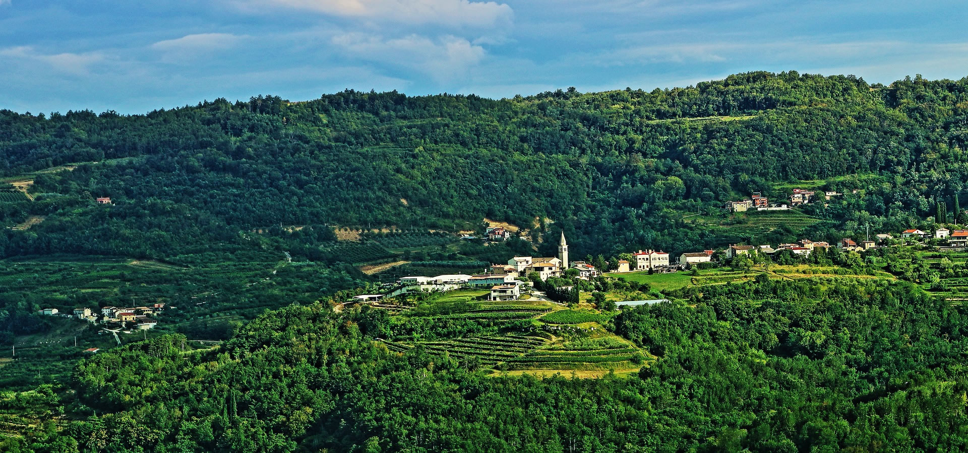 Wine roads of Istria